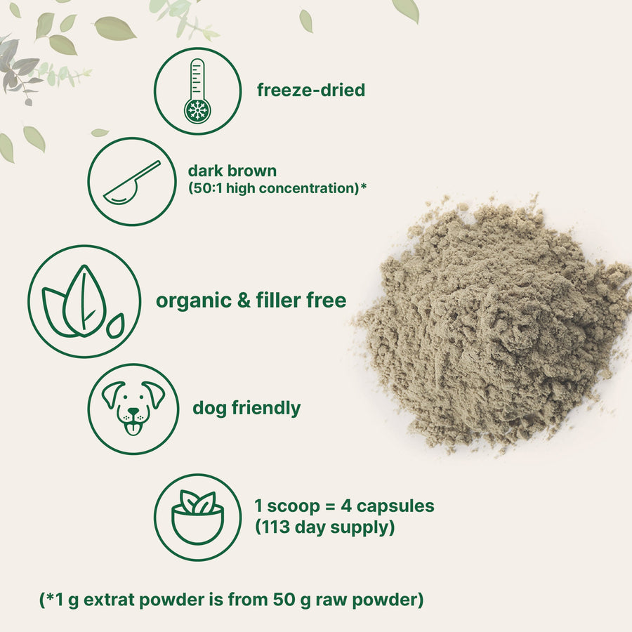 Micro Ingredients Organic Turkey Tail Powder, 8oz