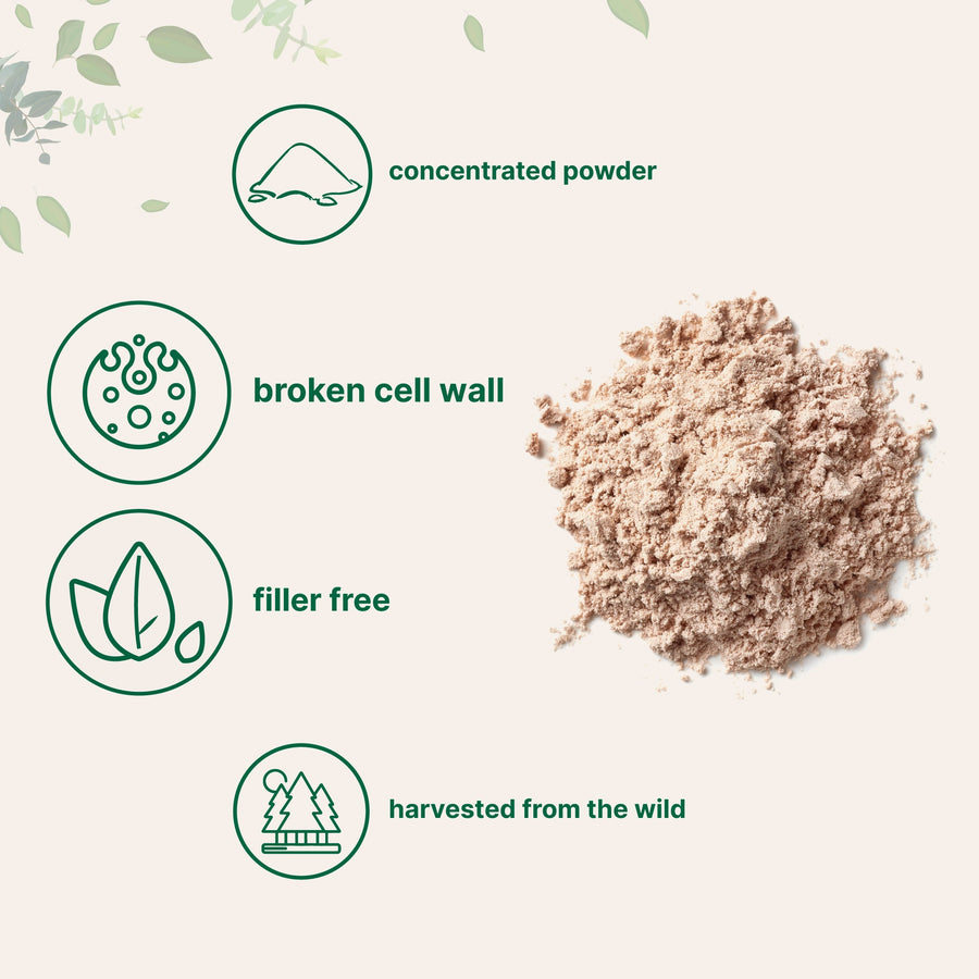 Micro Ingredients Pine Pollen Powder, 6 oz