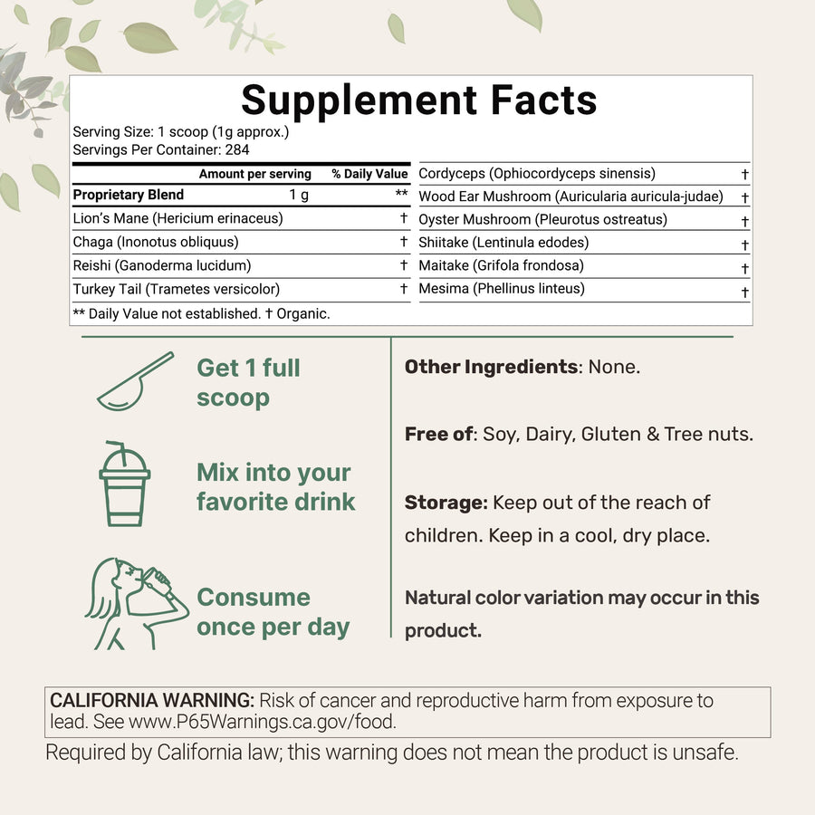 Micro Ingredients Organic Mega 10 mushroom Powder