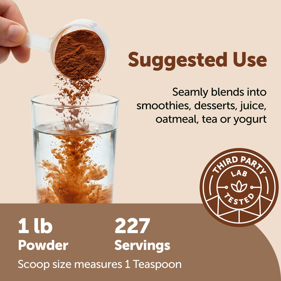 Micro Ingredients Organic Ceylon Cinnamon Powder