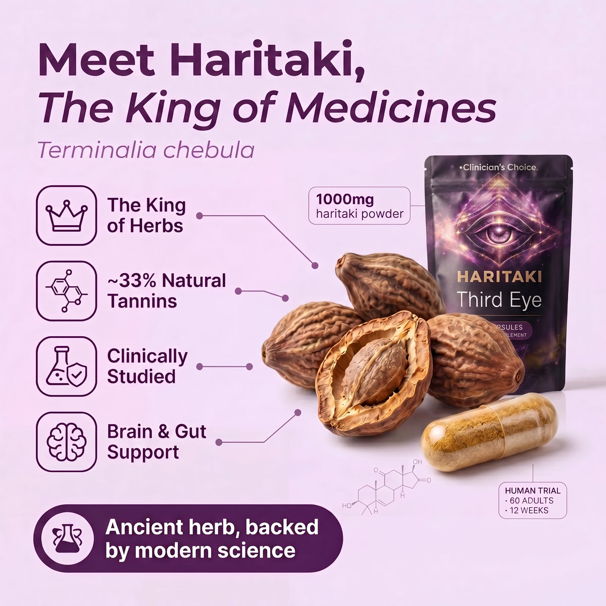 Haritaki Third Eye (60 Capsules)